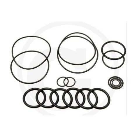 Kit o-ring per pompa a membrana BHA 130 AP C/C ANNOVI 6702446