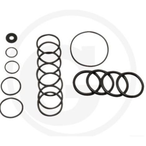 Kit O-RING pour pompe à membrane AR70 ANNOVI 6702365