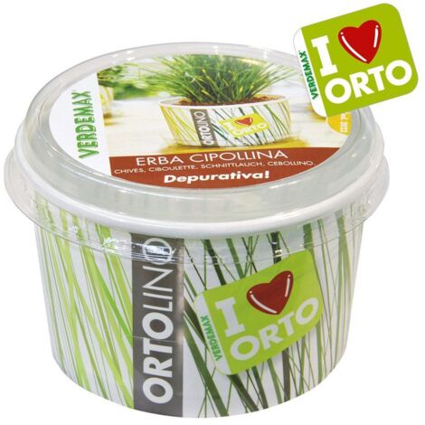 KIT ORTOLINO ERBA CIPOLLINA VERDEMAX ORTO SEMI IN CUCINA FAI DA TE PORTATILE