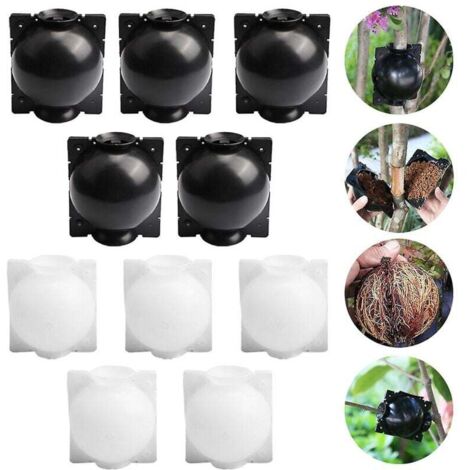 Kit per il radicamento delle piante da 10 pezzi
