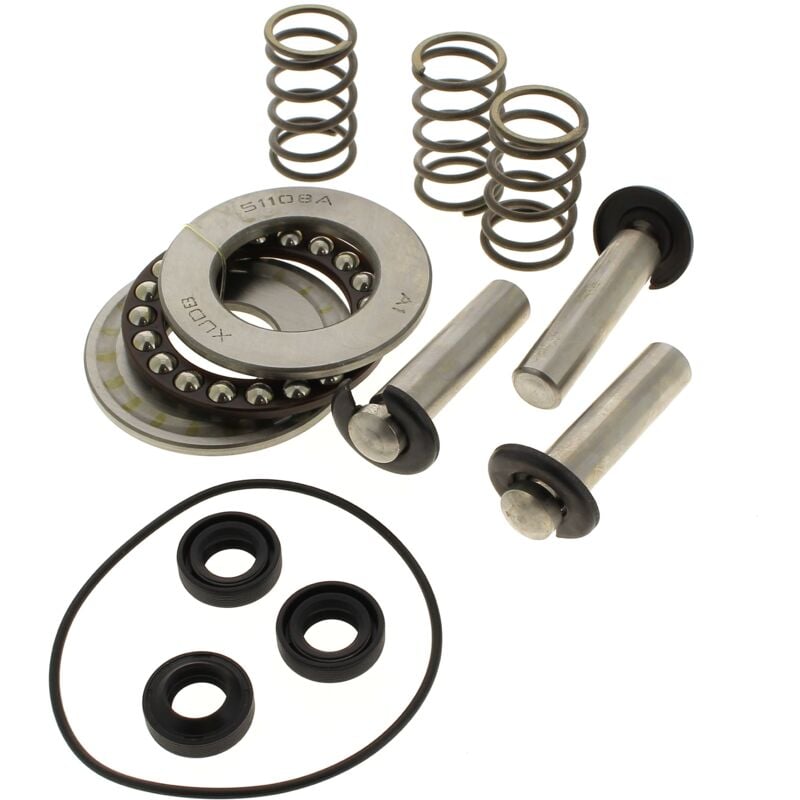 Mac Allister - Kit pistons + joints + roulements - nettoyeur haute pression