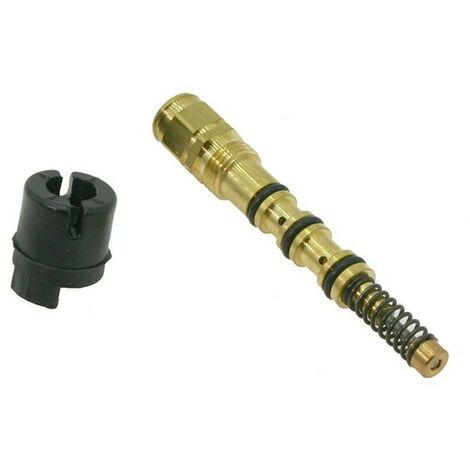 Kit pompa olio motosega Alpina PR350, P34 originale