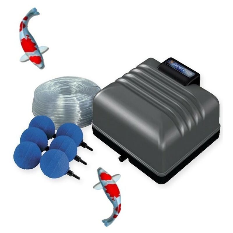 Le Poisson Qui Jardine - Kit Pompe à Air 1200 l/h, Pour Bassins De Jardin Et Étangs De 2000 l