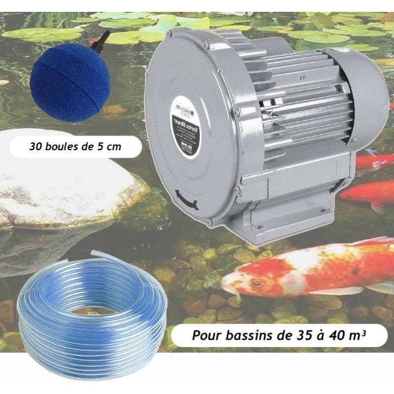 Le Poisson Qui Jardine - Kit Pompe à Air Vortex Turbine 38400 l/h + 30 Boules Pour Bassins De Jardin