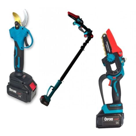 PARTENOPEA UTENSILI Kit Potatura 3 in 1 Motosega e Cesoia da 6" a Batteria con Asta Telescopica fino a 2 metri 2 Batterie Incluse
