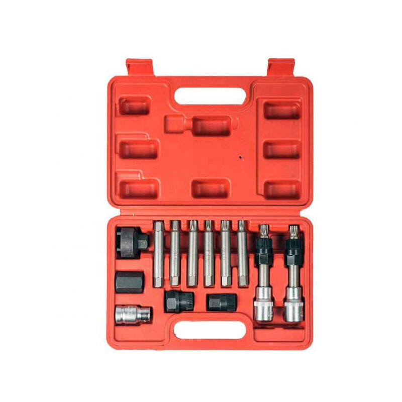 Kit Professionnel 13 pièces pour Poulie à Roue Libre d'Alternateur - Clés Hex/Étoile (Spline) - Compatible avec la Plupart des Voitures Européennes