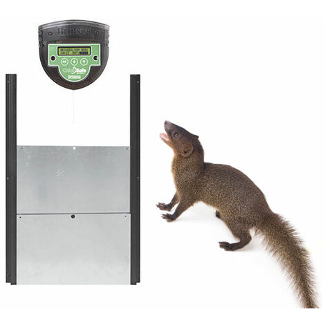 Kit puerta automática para gallinero + motor - Puerta Chicksafe de Brinsea- Motor ECO