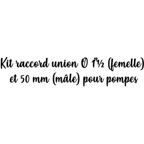 Kit raccord union mâle/femelle 1'½ et 50 mm pour pompes – Solution filtration piscine – Compatible avec pompes Pentair