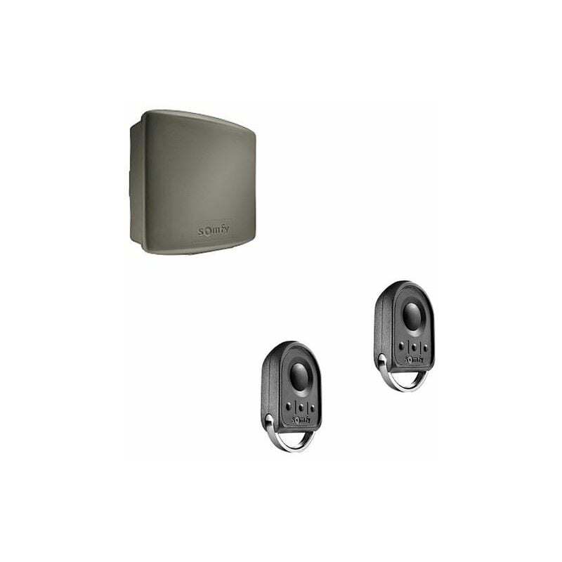 Somfy - Kit récepteur standard étanche rts + 2 télécommandes Keygo