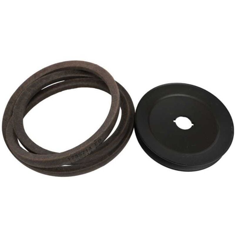 Simplicity - Kit Remplacement Courroie Snapper Murray - 1687403SM