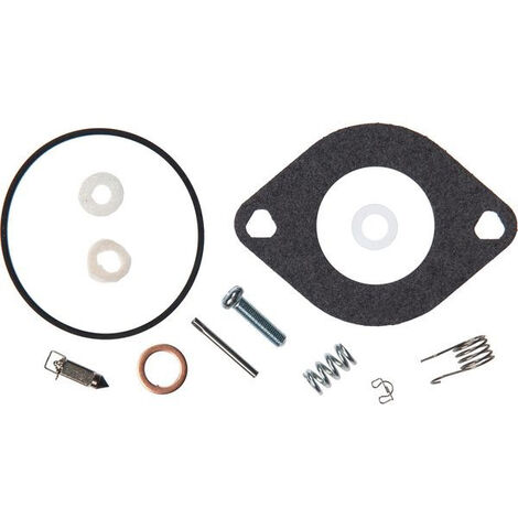Kit réparation BRIGGS ET STRATTON 594886