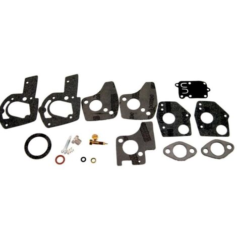 Kit réparation carburateur adaptable BRIGGS & STRATTON pour modèles 80200, 81200, 82200, 133200, 135200, 92200, 93200, 136200, 100200, 111200, 112200, 130200. Remplace origine: 495606 et 494624.