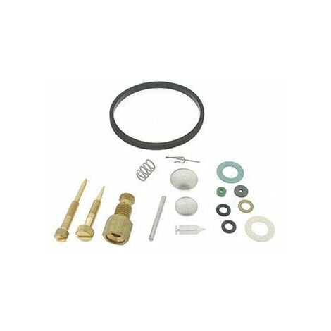 Kit Réparation Carburateur Adaptable Pour Moteur Tecumseh / Tecnamotor. Remplace Origine: 631029.