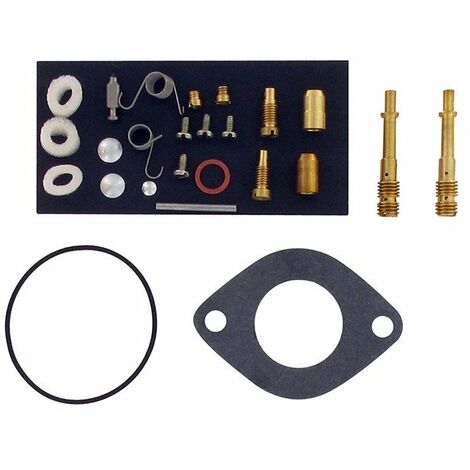 Kit réparation carburateur BRIGGS ET STRATTON 690191