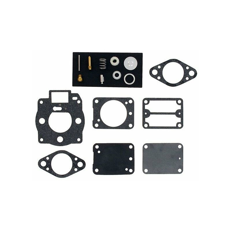 Kit réparation carburateur BRIGGS ET STRATTON 693503