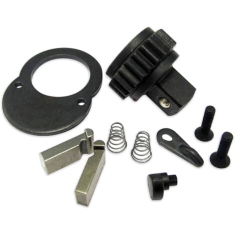 KIT REPARATION CLIQUET POUR CLE DYNAMOMETRIQUE 11530