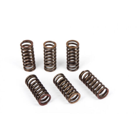 Kit Ressorts d'embrayage (4pcs)