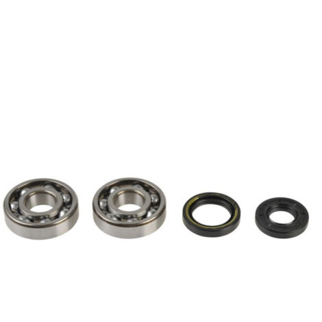Kit Révision Vilebrequin Spy + Roulements compatible avec la marque Yz125 2001-2004