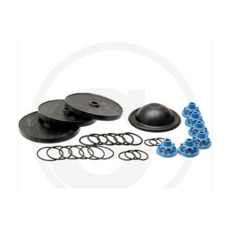 Kit riparazione per pompa a membrana APS 101 121 ANNOVI 6705026008900