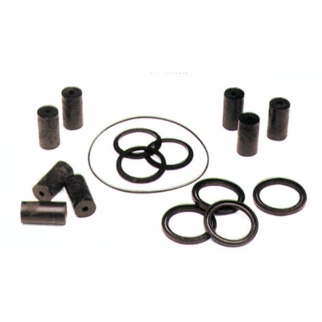 Kit riparazione pompa lavaggio MT300