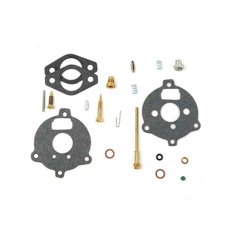 Matijardin - Kit réparation carburateur pour moteur Briggs & Stratton. n° origine 394 693, 291 763