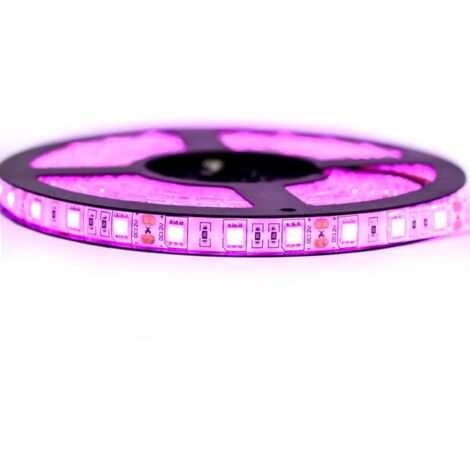 Kit Ruban Professionnel 5050 - 60 leds/m - 5 mètres rose anti éclaboussure (IP65)  Longueur: 5 mètres - Transformateur: Alimentation Non-Inclus