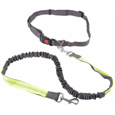 Kit Running pour Chien "Réfléchissant" 120cm Gris