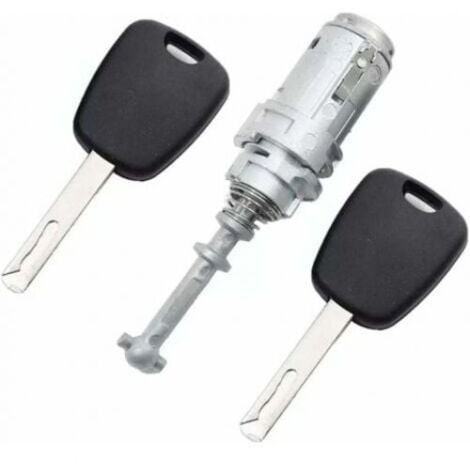 LAFOMUKEA KIT Serrure + Barillet pour Porte Avant Gauche Citroen C2 C3 C3 PLURIEL + 2 clés