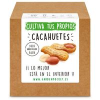 Kit siembra Cacahuete Garden Pocket