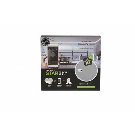 Kit sonorisation encastrable – 2 haut-parleurs blancs – Module principal Bluetooth et tuner FM – Installation en faux-plafond – XPE