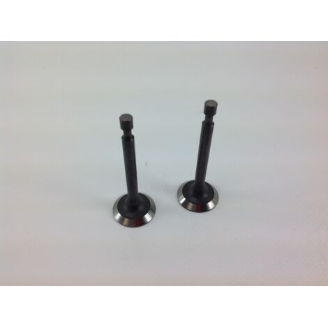 Kit soupape d'aspiration, échappement moteur LONCIN 1P65FE 550034
