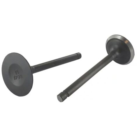 Kit : soupapes d'admission et d'échappement Tracteur de pelouse STIGA ORIGINAL 118551289/0