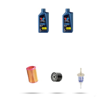 Kit tagliando 3 FILTRI e 2L OLIO compatibile con Ligier Be-Up 500 15kw dal 2001