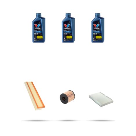 Kit tagliando 3 FILTRI e 3L OLIO compatibile con Peugeot 1007 1.4 16v 65kw Dal 2005