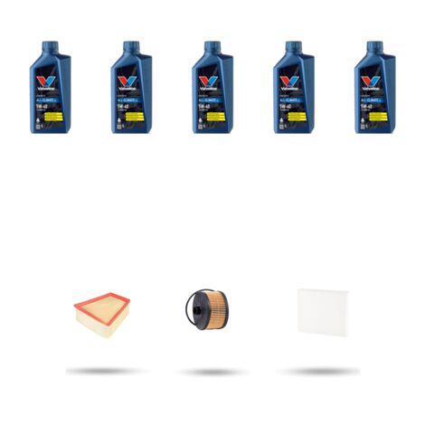 Kit tagliando 3 FILTRI e 5L OLIO compatibile con Renault Scenic IV / Grand Scenic 1.2 Tce 96kw Dal 2016