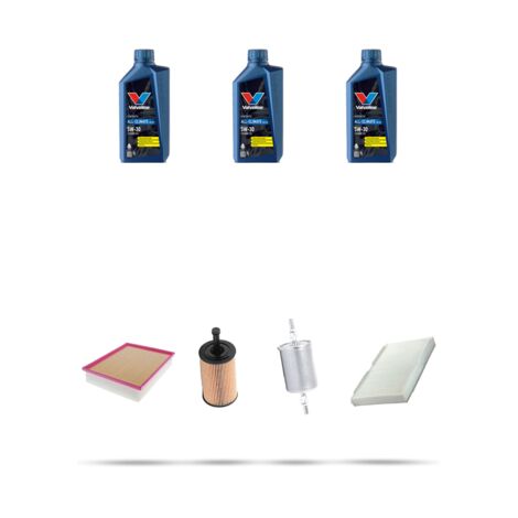 Kit tagliando 4 FILTRI e 3L OLIO compatibile con Peugeot 307 1.4 55kw Dal 2001