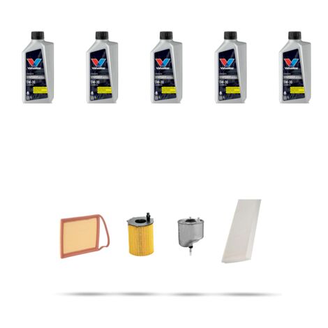 Kit tagliando 4 FILTRI e 5L OLIO compatibile con Peugeot Expert II 1.6 HDI 66 kw dal 2007