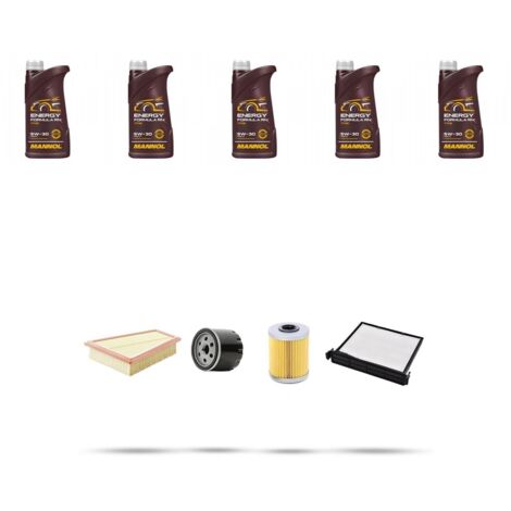 Kit tagliando 4 FILTRI e 5L OLIO compatibile con Renault Megane II 1.9 dci 81kw Dal 2006
