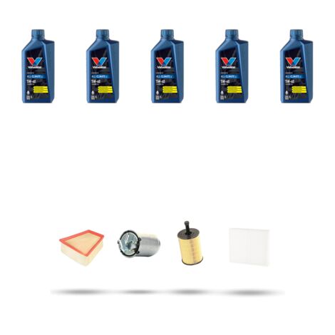 Kit tagliando 4 FILTRI e 5L OLIO compatibile con Skoda Roomster 1.9 TDI 77kw Dal 2006