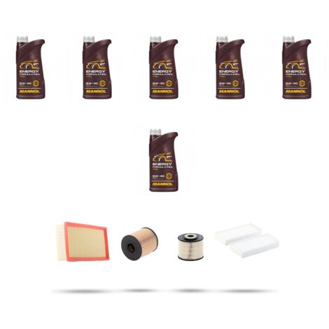 Kit tagliando 4 FILTRI e 6L OLIO compatibile con Citroen C4 Picasso 2.0 hdi 110kw dal 2009