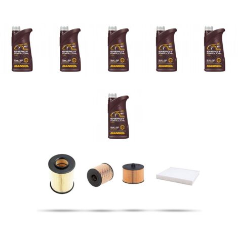 Kit tagliando 4 FILTRI e 6L OLIO compatibile con Ford Focus II 2.0 TDCI 100kw dal 2004