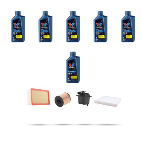 Kit tagliando 4 FILTRI e 6L OLIO compatibile con Land Rover Freelander II (L359) 2.2 SD4 140kw dal 2010