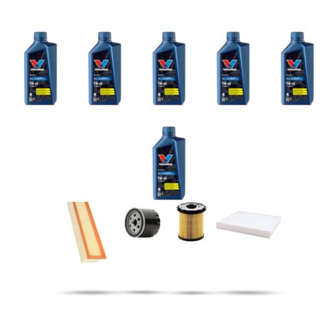 Kit tagliando 4 FILTRI e 6L OLIO compatibile con Renault Scenic I 1.9 dti 59kw Dal 2001