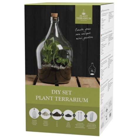 Kit Terrarium à faire soi-même avec vase en verre - 3 L - D 30,3 x H 44,4 cm - Livraison gratuite