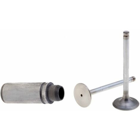 Kit valvole con guida valvole motore RUGGERINI RF90 RF120 RF130 RF140 RD210