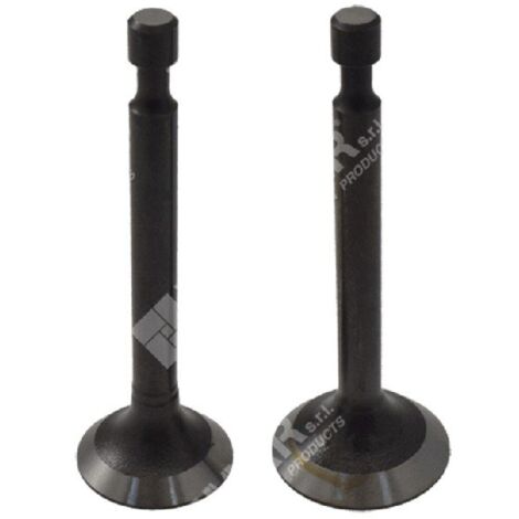 Kit Valvole di aspirazione e scarico per motori LONCIN Compatibile - 049055