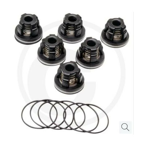 Kit valvole O-ring per pompa a membrana AR45 bp C blue flex ANNOVI 67042524
