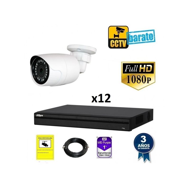 

Dahua - Kit de videovigilancia FULL HD 12 cámaras bullet exterior óptica fija más grabador de 16 canales., Añadir mas memoria :2TB,Cambiar cables :