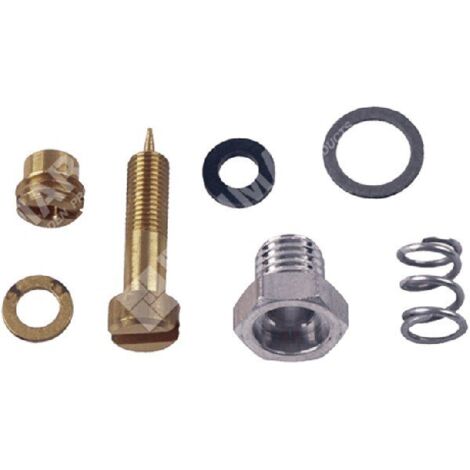 Kit vis de réglage pour carburateurs BRIGGS & STRATTON 299059 - 006665