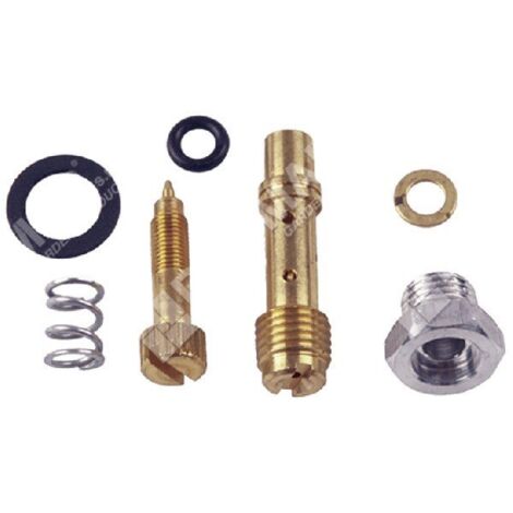 Kit vis de réglage pour carburateurs BRIGGS & STRATTON 391233 - 006667